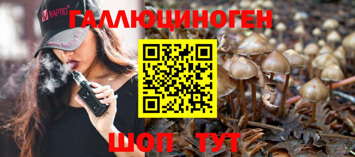 Белогорск  Псилоцибиновые грибы прущие грибы  Вход с VPN 